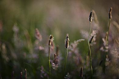 PlayStation：会继续和更多第三方工作室合作 打造独特游戏